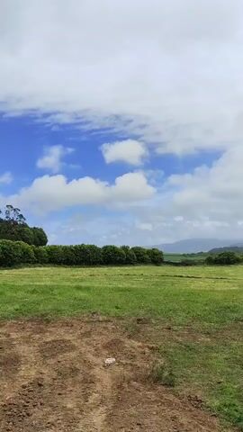 The video shows a wide open field with a strip of dark green foliage in the midground and a dense forest along the horizon to the left. The foreground is dirt and dry grass. The sky is blue with white clouds. The camera pans slightly from right to left, revealing more of the forest.