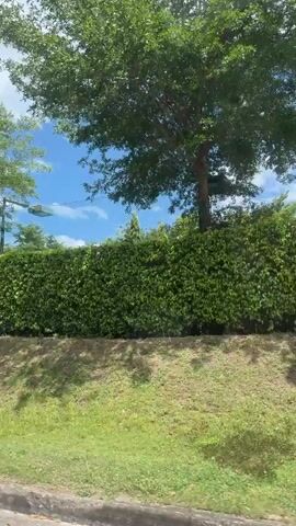 The video shows a view from a moving vehicle. The scene is outdoors, with lush green trees, manicured hedges, and a clear blue sky with white clouds. There is a tall white pole on the left side of the frame, and a grassy slope. The vehicle passes by a row of trees and hedges. Then, a parking lot with two cars and a building is visible. Further along, the vehicle passes by palm trees, a stone wall, and a house. The video ends showing a bus and a red car parked in a lot, surrounded by trees.