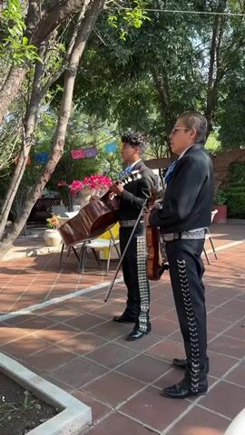 In a medium shot, two mariachi musicians are standing under a tree on a red-tiled patio, with two more musicians and an audience visible.  The musicians are dressed in black suits with silver trim, and they are playing a guitar, violin, and trumpet.  The two musicians in the foreground are standing at attention.  One musician is on the left playing the guitar. He is young with dark curly hair and is singing. The musician on the right is older with eyeglasses and is playing the violin. The view shifts from right to left showing two more mariachi players.  One has his back to the camera and is playing guitar. The other musician in the background is playing a trumpet.  The background is a courtyard with a white wall, a few chairs, planters with flowers, and Mexican flags hanging in the distance.  The sun is shining, and the lighting is bright.