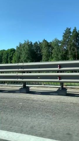 The video captures a view from a moving vehicle, likely a car or bus, looking out at the roadside. The scene is dominated by a grey metal guardrail that runs along the edge of the road. Beyond the guardrail, there's a strip of dry grass and some debris. Further back, a dense line of lush green trees under a clear blue sky fills the background. The road surface itself is visible in the foreground, with a white line marking the lane. The sun appears to be shining brightly, casting shadows and illuminating the scene. The perspective suggests a sense of travel and movement.