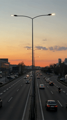 Belgrade residents document cat and highway scenes during Sunday evening