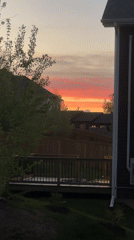 Backyard sunset captured on video in Dieppe, Canada