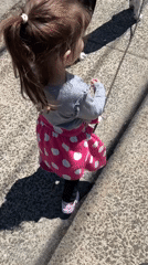Child walks dog in Newburgh Tuesday evening