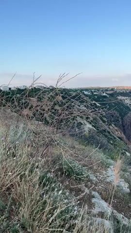 This is a vertical video of a scenic coastal landscape. The foreground is dominated by dry, windswept grass and rocky terrain, suggesting a rugged, natural environment. Beyond this, the view opens up to reveal a dramatic coastline with steep, rocky cliffs plunging into the calm, blue sea. A crescent-shaped beach is visible nestled at the base of the cliffs, with some structures or buildings sparsely scattered along the upper edge of the cliffs and further inland. The sun is low in the sky, casting a warm, golden light on the tops of the cliffs, indicating either sunrise or sunset. The sky is a clear, pale blue with a few wispy clouds near the horizon. The overall mood is peaceful and serene, emphasizing the natural beauty of the location. The location cues, such as the specific geological formations and the style of coastal development, combined with the provided context of Balaklavsky District, Ukraine, point to a Mediterranean or Black Sea coastal region. There is no visible text in the video.