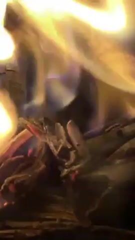 The video shows a close-up view of a fire burning in a fireplace. The flames are bright yellow and orange, licking up from the burning wood. The wood is dark and charred, with some glowing embers visible. The fire is contained within the fireplace, with hints of the brick or stone lining visible around the edges. The camera is close to the fire, creating a sense of warmth and intensity.