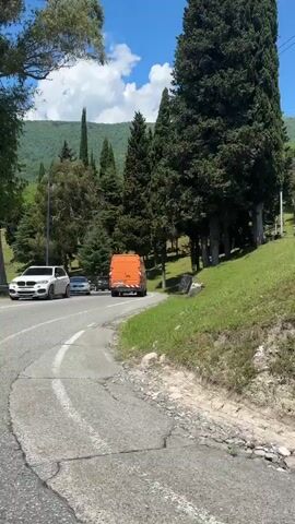 The video shows a perspective from a moving vehicle driving along a paved road under a clear blue sky. Tall, slender coniferous trees (resembling cypresses) line the left side of the road, casting shadows. To the right, there are grassy hills with more trees and a stone retaining wall.

At the beginning, an orange van is visible ahead on the winding road, followed by other cars including a silver sedan. As the camera pans to the right, a dark car and a red truck are seen parked or moving on a higher road or a pull-off section further up the grassy slope. The stone wall features a distinctive pattern, possibly a concrete block design. The road has double solid white lines indicating no passing. The overall scene depicts a sunny day in a green, hilly, possibly mountainous region. There is no visible text.
