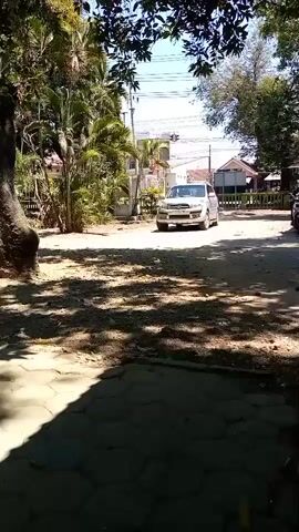 A silver SUV is driving on a dirt road lined with trees and houses. Sunlight filters through the leaves, creating a dappled pattern on the ground. There appear to be people inside the SUV.