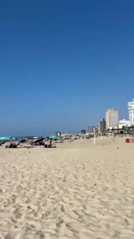 The video shows a beach with many people sunbathing and relaxing. Some people are lying on the sand, while others are sitting under umbrellas or in small cabanas. In the background, there are tall buildings, palm trees, and a clear blue sky.  A few people are walking along the beach and playing games. The beach is sandy and relatively clean. The overall impression is of a busy but relaxed day at the beach.