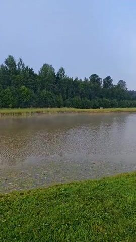 The video shows a scenic view of a lake surrounded by lush green grass and trees. The sky is overcast, suggesting a cloudy day. In the foreground, there is a well-maintained lawn and a wooden railing leading down to the water's edge. Reeds and other aquatic plants grow along the bank of the lake. Across the lake, a distant treeline forms the horizon. In the middle ground, a small wooden shed is visible near the water, and a dark-colored car is parked on the right side of the frame. Further in the distance, what appear to be hay bales are scattered across a field. A hot tub is positioned on a paved area to the right of the frame, adding a touch of luxury to the natural setting. The overall impression is one of a tranquil, rural landscape, possibly a lakeside retreat.