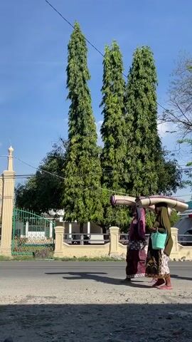 Two women are walking on a dirt path next to a paved road. The woman on the left is wearing a brown and white patterned dress and a maroon headscarf. She is carrying a rolled-up mat on her head and a turquoise woven bag in her left hand. The woman on the right is wearing a dark headscarf and a patterned skirt. She is also carrying a rolled-up mat on her head and a turquoise woven bag in her left hand. Behind the women, there is a beige fence and a white building with green trim. Tall, slender green trees stand behind the building. The sky is blue and clear.