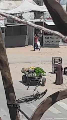 The video depicts an outdoor street scene. In the foreground, blurry objects that appear to be part of a structure or plants are visible. In the middle ground, a cart laden with green produce, possibly watermelons, and some other items is parked on a dirt or sandy surface. The cart has two wheels and a stand. To the right of the cart, a stand or kiosk is visible, and two people, one in a dark robe and another in a red shirt, are standing near it. In the background, a person in a red shirt and dark pants is walking away, and a sign with "PAY PAL" in English and Arabic text is mounted on a building or structure. The environment appears to be a marketplace or a street with a dry, dusty atmosphere.