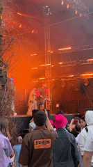 Evening entertainment activities observed across Kyiv venues