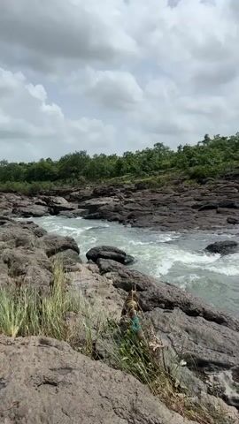 The video shows a natural landscape with a river flowing over rocks. The river is surrounded by rocky terrain and lush green vegetation. The sky is cloudy, with patches of sunlight breaking through. In the foreground, there are large, dark rocks with some dry grass growing around them. The water in the river appears to be flowing briskly, with some ripples and turbulence. The background features a dense forest with many trees. The overall impression is one of a wild and unspoiled natural environment.