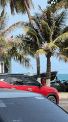 Morning shopping and seaside leisure documented in Nha Trang
