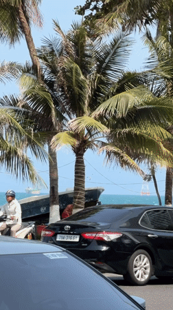 Morning shopping and seaside leisure documented in Nha Trang