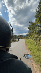 Helmeted rider travels wooded road in Vietnam