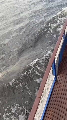 A close-up, eye-level shot shows the wake of a boat on dark, choppy water. The wake is a frothy white line with dark water visible beneath it, creating a swirling pattern. To the right, a wooden deck with planks is visible, leading to a brown railing with a white mesh infill and a blue top rail. The water appears to be in motion, suggesting the boat is moving. The overall lighting suggests it is either dawn or dusk, or an overcast day.