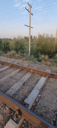 Ground-level look at a quiet stretch of railway track