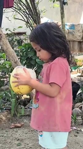 A young child, viewed from the side and facing right, with dark, shoulder-length hair, wears a pink t-shirt and light-colored shorts. The child holds a partially opened, large yellow coconut in both hands, bringing it to their mouth to drink. The setting appears to be outdoors with vegetation, trees, and a chicken visible in the background. Sunlight illuminates the scene.