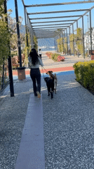 Woman walks two dogs on Fethiye promenade early morning