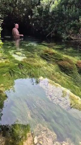 A man stands in shallow, clear water, his body from the waist up visible. He is bald and appears to be facing away from the camera. The water is full of green aquatic plants. The scene is surrounded by lush green foliage.