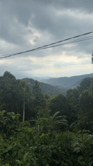Morning landscapes documented in Banjar, Indonesia under cloudy skies