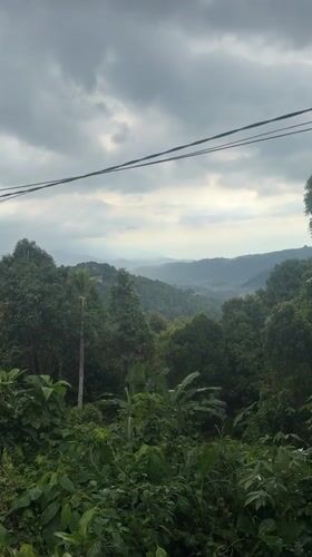 Morning landscapes documented in Banjar, Indonesia under cloudy skies
