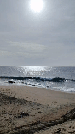 Rocky coastline views with beach and vegetation in Panama