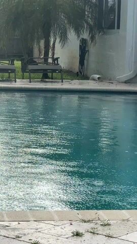The video shows a swimming pool in what appears to be a backyard. It is raining, and droplets of water are visible on the surface of the pool. The pool is surrounded by a tiled deck, with some grass growing in the cracks. In the background, there's a building with a white exterior, a palm tree, and some outdoor furniture, including benches.  A garden hose is coiled on the building's wall.