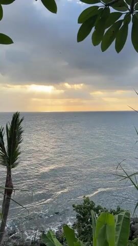 A vertical video shows a body of water with waves and a shoreline visible on the lower left. The sky above is mostly cloudy with streaks of sunlight breaking through. Tropical foliage frames the top and right sides of the view. A single palm tree stands on the left side of the frame, and other greenery is visible along the shoreline. The overall scene appears to be a coastal landscape, possibly at dawn or dusk.