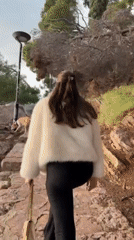 Tourist visits scenic Sveti Stefan resort with dog, captures photos