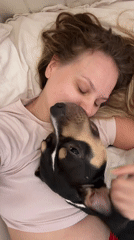 Dog and person share a lazy morning in bed