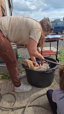 A person is rinsing a young animal, possibly a lamb, in a large black tub outdoors. The person is wearing a tan shirt and brown pants and is holding a hose that is spraying water on the animal. Another person, possibly a child, is visible in the lower right corner of the frame, facing away from the camera. The environment appears to be a backyard or farm area, with a building, a table with foil-covered items, and a car in the background. The ground is paved with a hose lying on it. The sky is cloudy.