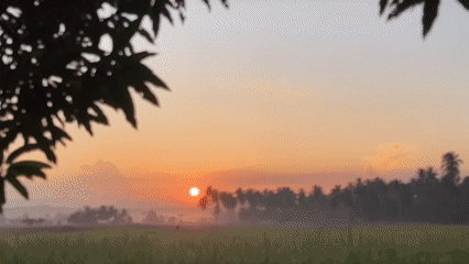 Twilight over San Roque's rice paddies, dusk to dark