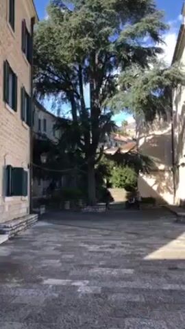 The video shows a paved square with a large tree in the center. On one side of the square is a stone building with green shutters, and on the other is a church with a rose window and a cross on top. There are a few people walking around the square. The sky is blue with some clouds. In the distance, a bell tower can be seen.