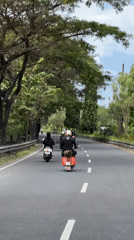 Scooter riders travel tree-lined road in early morning Denpasar