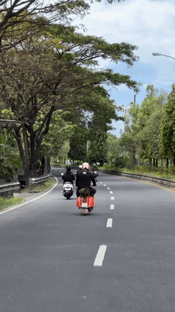 Scooter riders travel tree-lined road in early morning Denpasar