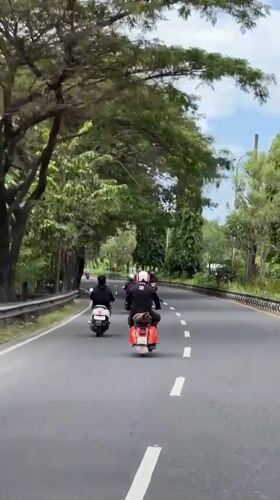 Scooter riders travel tree-lined road in early morning Denpasar