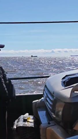 A person wearing a dark jacket and a baseball cap stands on a ferry, looking out at a wide expanse of choppy, sparkling water under a bright blue sky. Several cargo ships are visible in the distance on the horizon, as are some puffy white clouds. The front of a white vehicle, possibly an SUV, is in the foreground on the right side of the frame, with its hood and grille visible. A dark railing runs horizontally across the top of the frame. There are some bundled items wrapped in plastic and tape on the deck to the left of the vehicle. The waves are small and choppy, indicating a moderate breeze. The overall impression is of a journey across a large body of water on a clear, sunny day.