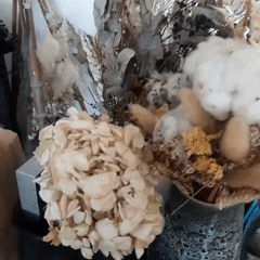 Dubai apartment life captured in six domestic moments