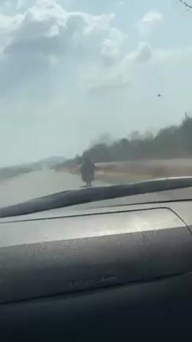 From inside a moving vehicle, a long straight road stretches into the distance. A motorcycle is visible in the far distance, moving in the same direction as the vehicle. The surrounding landscape is dry and dusty with trees. The sky is partly cloudy. The car's dashboard is in the foreground.