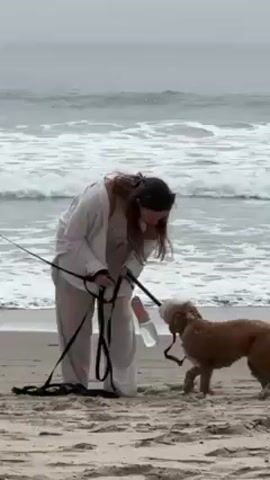 On a sandy beach with a light-grayish sky and waves crashing in the background, two women are with a golden-brown poodle-type dog. One woman, wearing a white matching set, is crouching down, seemingly adjusting the dog's leash. The other woman, wearing a light-blue sports bra and dark loose pants, is holding a black dog-walking bag and the leash.
