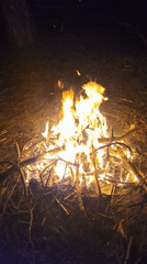 Evening campfire gathering documented in Gabrovo, Bulgaria