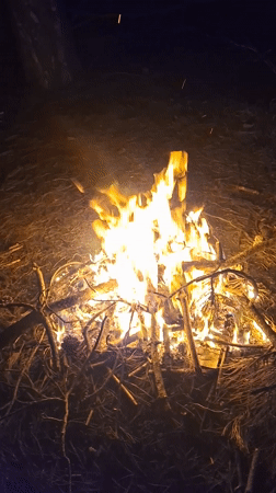 Evening campfire gathering documented in Gabrovo, Bulgaria