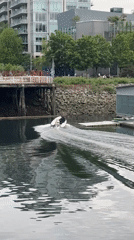 Early morning waterfront scenes captured around Vancouver's False Creek
