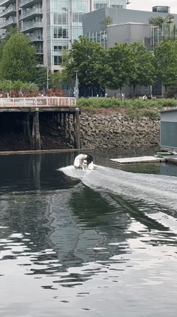 Early morning waterfront scenes captured around Vancouver's False Creek