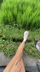 Scooter rider passes vibrant rice fields in Ubud