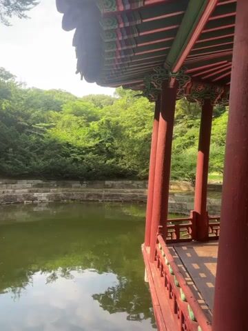 The video shows a partial view of a traditional Korean pavilion with red wooden pillars and an ornate, colorful roof. The pavilion overlooks a calm body of water, possibly a pond or lake, with its surface reflecting the surrounding greenery and sky. Beyond the water, a dense, lush forest covers a hillside. The sunlight suggests it is daytime, with the sky appearing bright. The overall atmosphere is serene and natural.