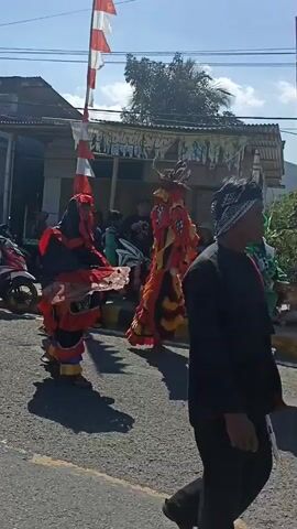 The video captures a street scene where several individuals in elaborate, brightly colored costumes resembling mythical creatures are performing. The costumes are vibrant, featuring red, black, yellow, and green hues, with detailed headpieces and flowing fabric. They appear to be engaged in a traditional dance or performance, with some moving rhythmically while others stand in formation. In the background, onlookers are gathered, sitting on the side of the road and observing the spectacle. Several motorcycles are parked along the roadside, and a few buildings with corrugated roofs are visible. Indonesian flags, white and red, are prominently displayed, suggesting a festive or cultural event. The lighting indicates it is daytime, with clear skies and bright sunshine casting shadows on the asphalt road. The overall atmosphere seems lively and celebratory.