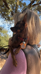 Outdoor gathering with dogs and champagne in Monistrol de Montserrat